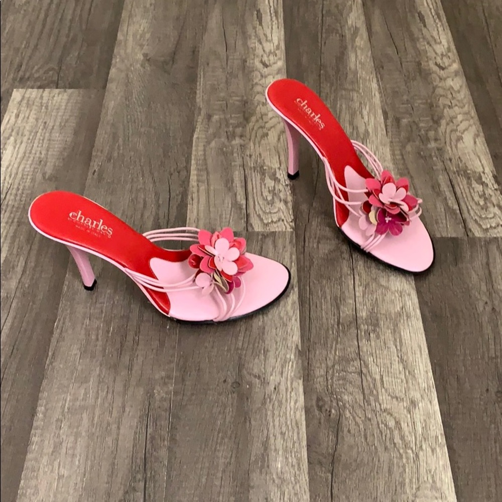 Charles By Charles David Mules - image 1